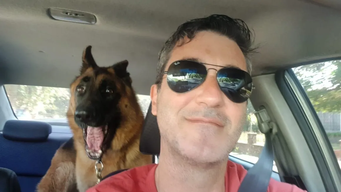Tutor com pastor-alemão no carro