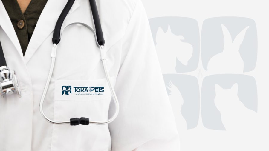 Veterinária da Toka dos Pets